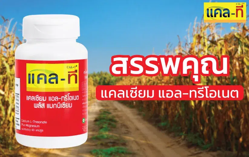 สรรพคุณแคลเซียม แอล-ทรีโอเนต